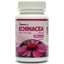 Netamin Echinacea 380 mg - 30 kap. vitamin és táplálékkiegészítő