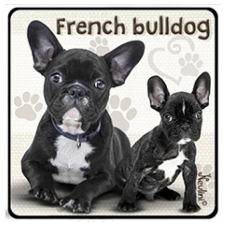 Nevlini Kutyás hűtőmágnes, French Bulldog ajándéktárgy