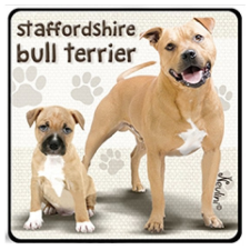 Nevlini Kutyás hűtőmágnes, Staffordshire Bull Terrier ajándéktárgy