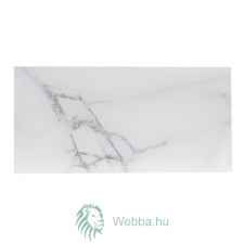  Newbury Fürdőszoba/konyha csempe, márványutánzat, fényes, fehér, 30 x 60 cm csempe