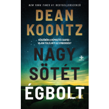 Next21 Kiadó Nagy, sötét égbolt regény