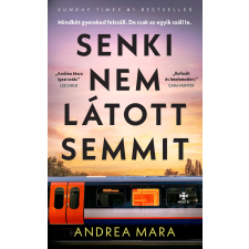 Next21 Senki nem látott semmit regény