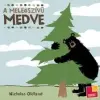 Nicholas Oldland A melegszívű medve