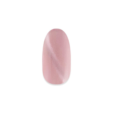 NiiZA Gel Polish 7ml - 496 reflective cat eye lakk zselé