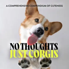  No Thoughts Just Corgis: A Comprehensive Compendium of Cuteness idegen nyelvű könyv