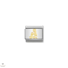 Nomination "Vízöntő csillagjegy" charm - 030104-11 egyéb ékszer