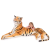 Nonbrand Rajah hatalmas plüss tigris, 130cm