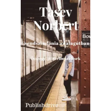 Norbert Tasev (magánkiadás) Csendszimfónia az alagútban egyéb e-könyv