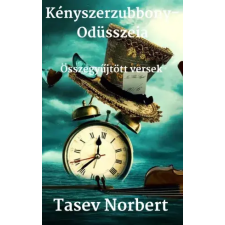 Norbert Tasev (magánkiadás) Kényszerzubbony-Odüsszeia egyéb e-könyv