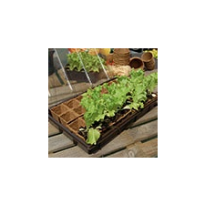 Nortene GROWING KIT mini üvegház szett palántáknak, barna kerti dekoráció