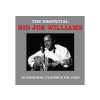 NOT NOW Big Joe Williams - Essential (Cd)