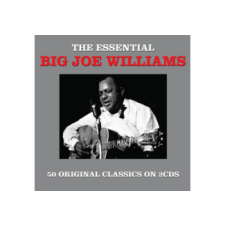 NOT NOW Big Joe Williams - Essential (Cd) blues