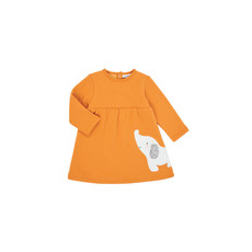 Noukie's Rövid ruhák Z050083 Narancssárga 6 hónapos