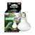 Nova | DAYLIGHT terrárium izzó - 75W