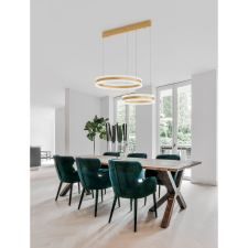 Nova Luce Agos LED NL-9054445 függeszték világítás