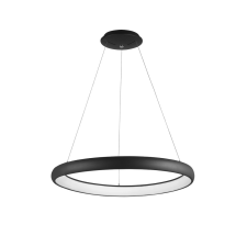 Nova Luce Albi LED NL-8105602D függeszték világítás
