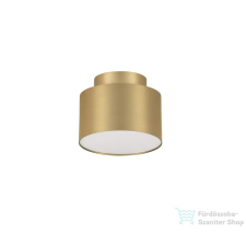 Nova Luce Ozen LED mennyezeti lámpa NL-9695170 világítás