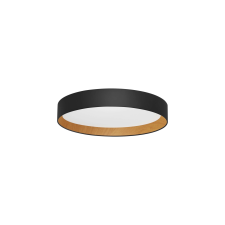 Nova Luce Stake fekete LED mennyezeti lámpa (NL-9345529) LED 1 izzós IP20 világítás