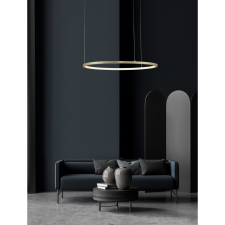 Nova Luce Tarquin LED NL-9345602 függeszték világítás