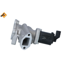 NRF AGR-szelep NRF 48325 autóalkatrész