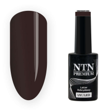 NTN Premium New - 208 műköröm zselé