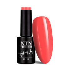 NTN Premium New - 91 - Dessert lakk zselé
