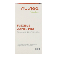  NUTRIQA FLEXIBLE JOINTS PRO 60DB gyógyhatású készítmény