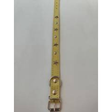  Nyakörv kutyák részére - 25mm/50cm nyakörv, póráz, hám kutyáknak