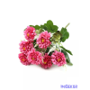  Nyílt krizantém 7 ágú csokor 32 cm - Pink