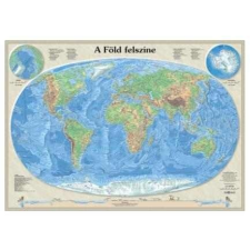 Nyír Karta A Föld felszíne falitérkép, könyöklő Nyír-Karta 70x50 cm térkép