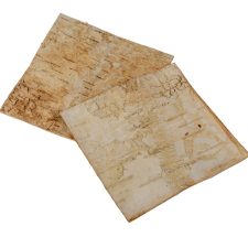 Nyírfa háncs szárított fehér 10x10cm 6db-os dekorációs kellék