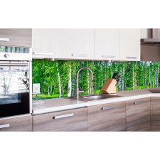  Nyírfaerdő, konyhai matrica hátfal, 260 cm tapéta, díszléc és más dekoráció