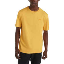O'Neill O Neill Small Logo T-Shirt D férfi póló