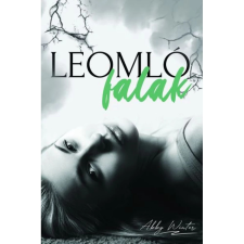 OEM Abby Winter - Leomló falak regény
