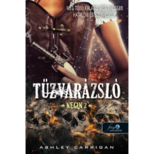OEM Ashley Carrigan - Tűzvarázsló - Negin 2. egyéb könyv