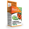 OEM Bioco csipkebogyós retard c-vitamin 1000mg családi csomag filmtabletta 100 db