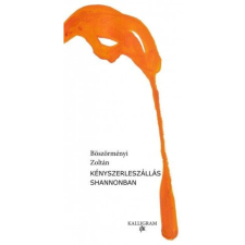 OEM Böszörményi Zoltán - Kényszerleszállás Shannonban irodalom