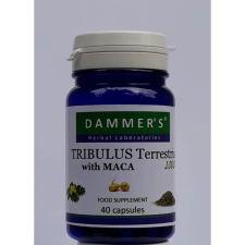OEM Dammer s Tribulus Terrestris királydinnye kapszula 40 db vitamin és táplálékkiegészítő