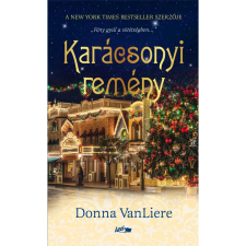 OEM Donna Vanliere - Karácsonyi remény regény