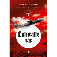 OEM Erich Sommer - Luftwaffe sas történelem