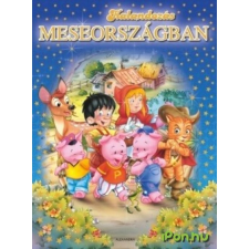 OEM Kalandozás meseországban egyéb könyv
