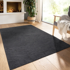 OEM Modern szőnyeg Rio 3D Lorey (Antracit) 200x280cm Sötét Szürke lakástextília