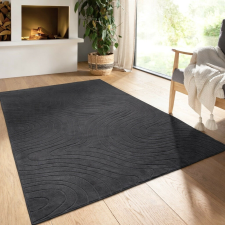 OEM Modern szőnyeg Rio 3D Lorey (Antracit) 240x330cm Sötét Szürke lakástextília