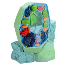 OEM Növényi Sejt Modell - 2 részes - Oktatási segédeszköz - 20x14x32cm oktatójáték