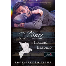 OEM Rácz-Stefán Tibor - Nincs hozzád hasonló regény