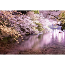 OEM Tablou vászon gyönyörű április Japánban, 80x50cm, tabloucanvas907 grafika, keretezett kép