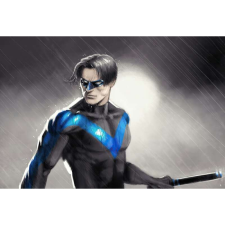 OEM Tablou vászon Nightwing eső, 80x50cm grafika, keretezett kép
