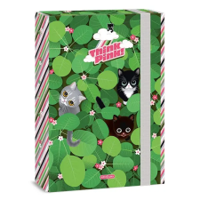 OfficeFox Füzetbox ARS UNA A/4 Think Pink füzetbox