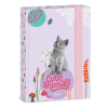 OfficeFox Füzetbox ARS UNA A/5 Cute Animals-Kitten