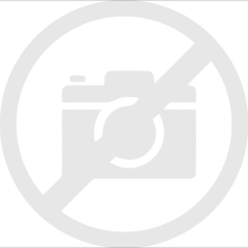 Omega Platinet Omega OM301 Wireless Mouse Black (OM301) egér